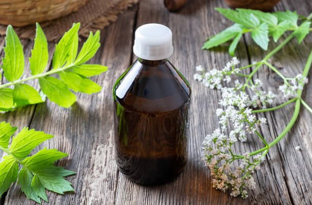 A macskagyökér (Valeriana) nyugtató hatása