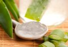 Aloe Vera - A bőr és egészség varázsnövénye