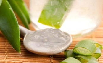 Aloe Vera - A bőr és egészség varázsnövénye