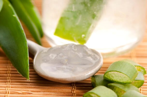 Aloe Vera - A bőr és egészség varázsnövénye