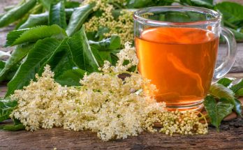 Fekete bodza tea: Egészségügyi előnyök és elkészítési tippek