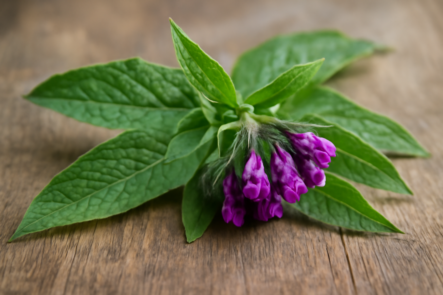 Fekete nadálytő: 5 hatás, ami miatt vitatott